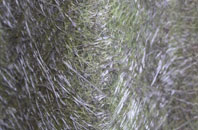 Percuil fibreglass roof work